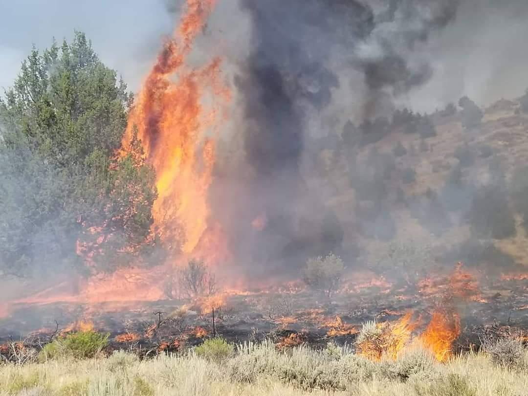Tucker Fire 2,461 Acres and Growing