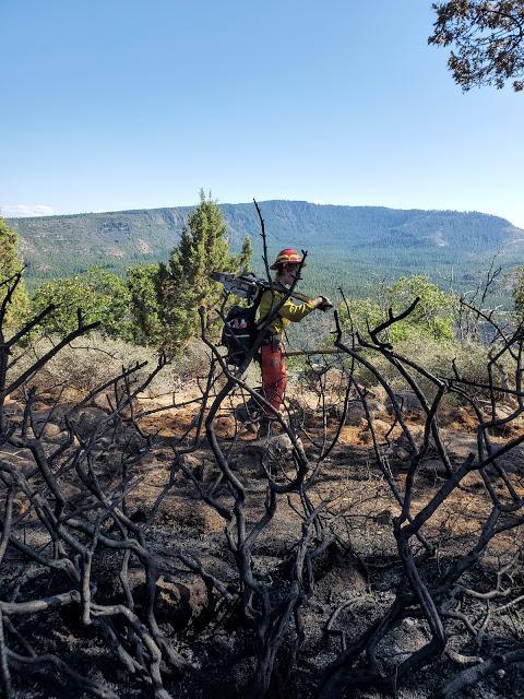 Sawyer for a Greyback crew working along the rim of the Klamath River removing snags and hazard trees near the fire line. (Inciweb)