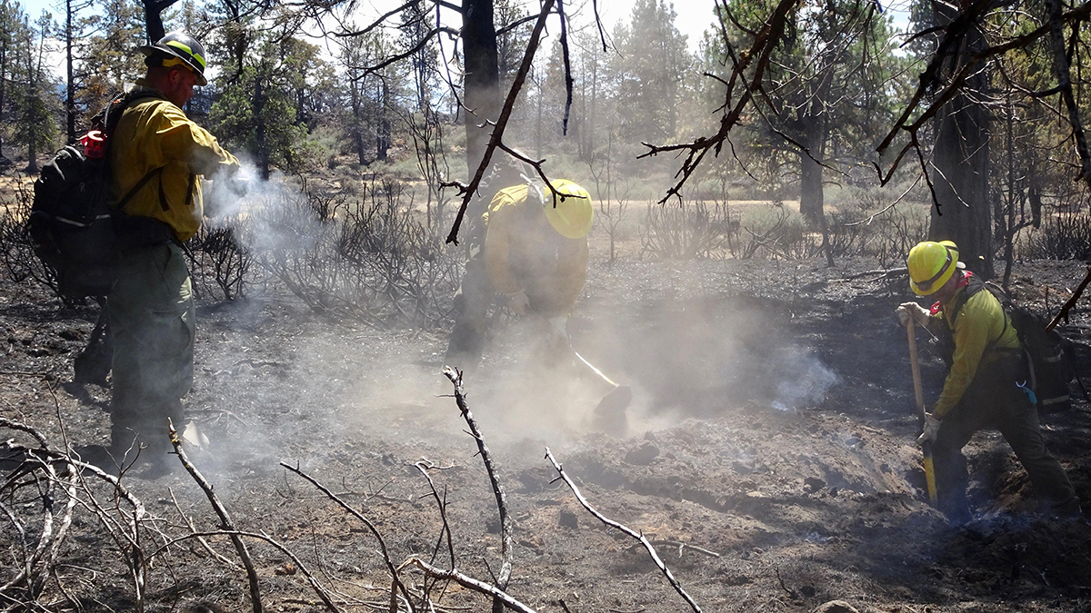 Wildland Firefighters working on the Ward Fire doing mop up operations on hotspots within the containment lines. (Inciweb)