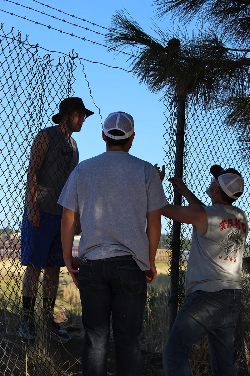 Hornets repair a chain link fence at Richmond Park. Submitted photo