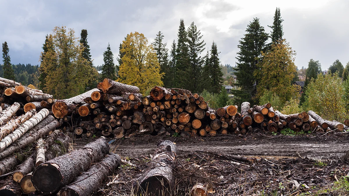 Oregon’s Wood Product Manufacturing Industry Is Still Important