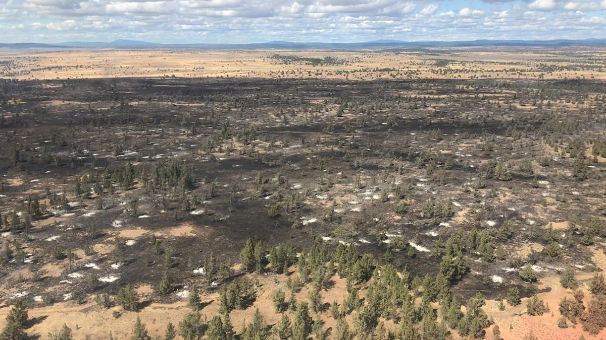 The Lone Fire in the Modoc National Fores is now 87% contained. (Inciweb)