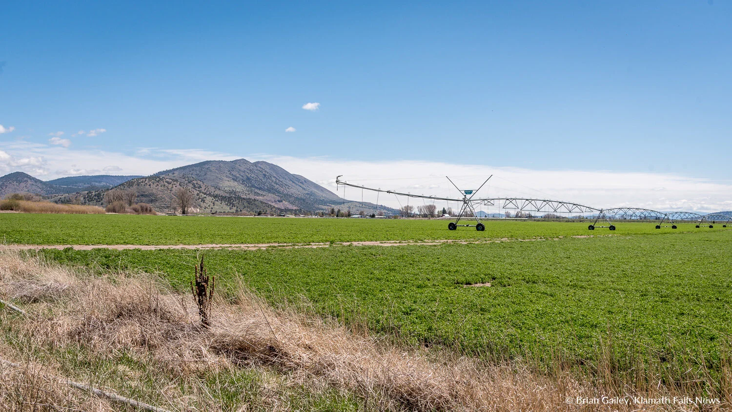 Agreement buys time on new Klamath Project Ops Plan