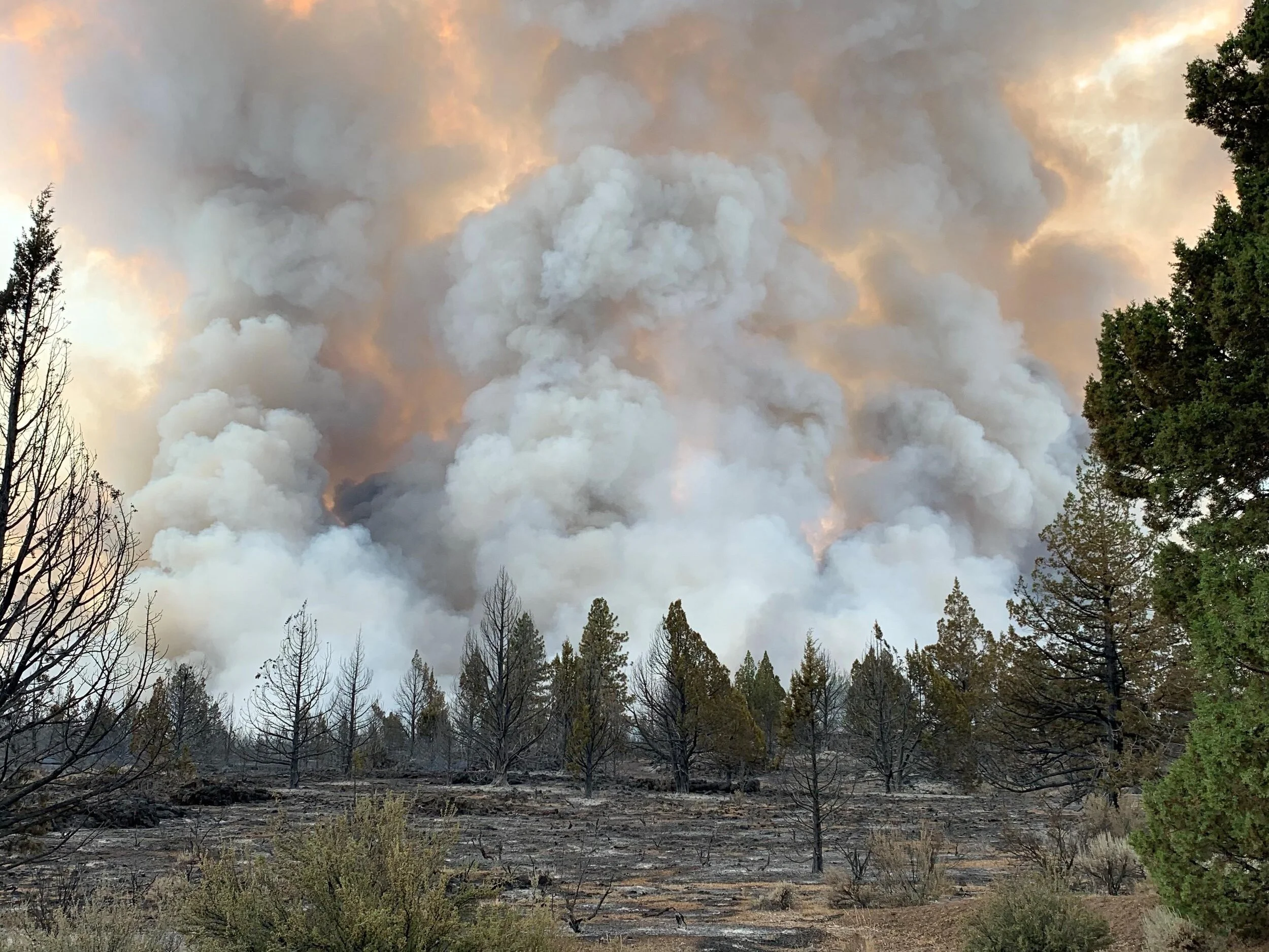 Fires continue to grow in the Modoc National Forest, largest at 19,000