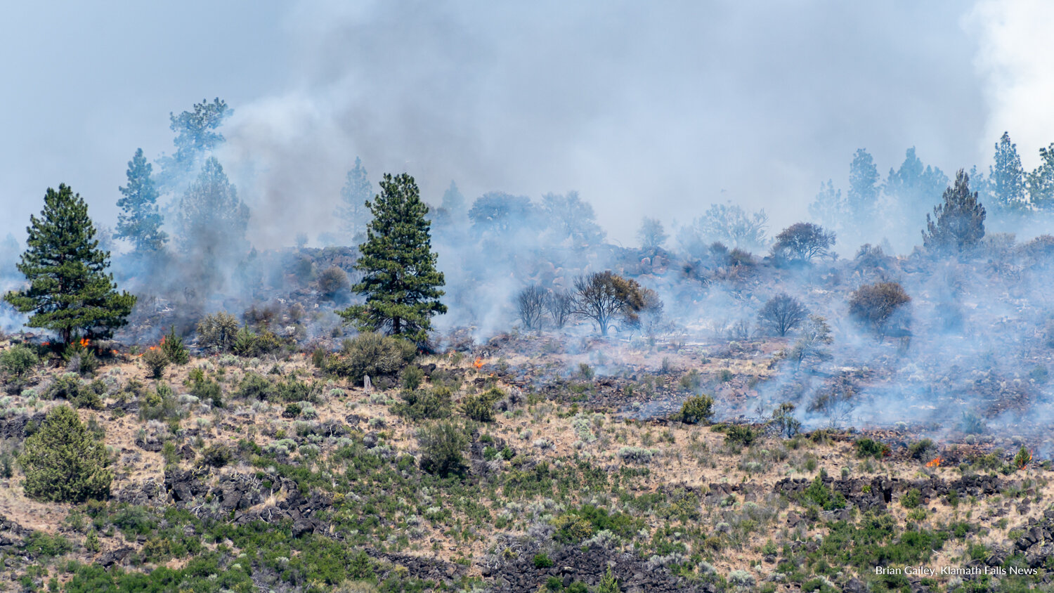 Cutoff Fire continues to burn north of Bonanza