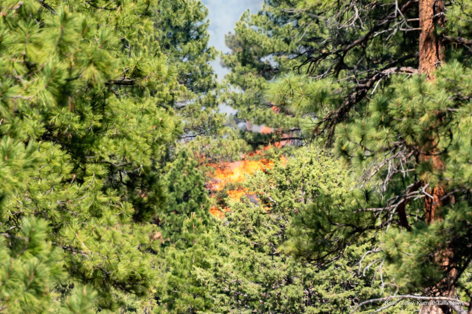 Cutoff Fire continues to burn north of Bonanza