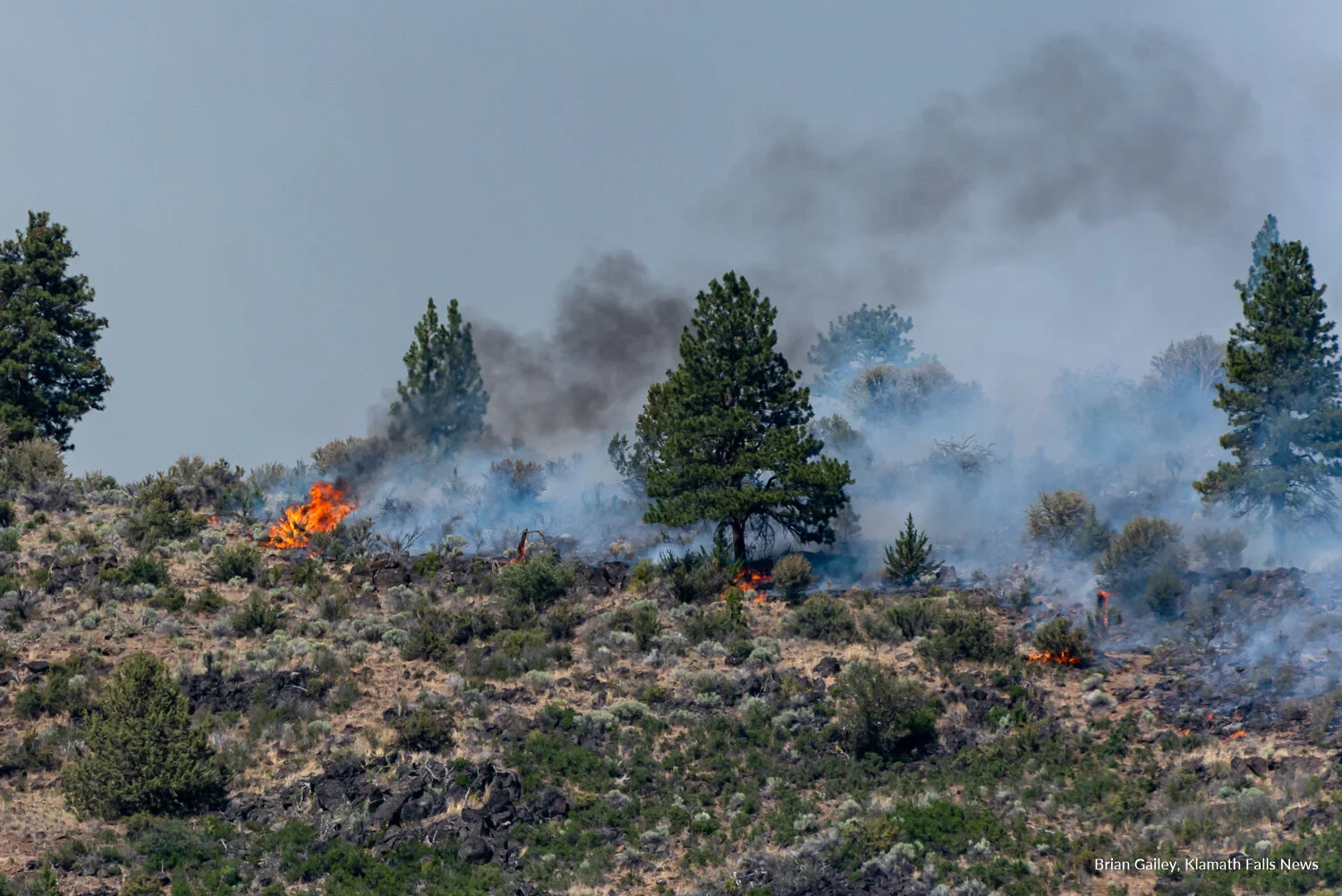 Cutoff Fire continues to burn north of Bonanza