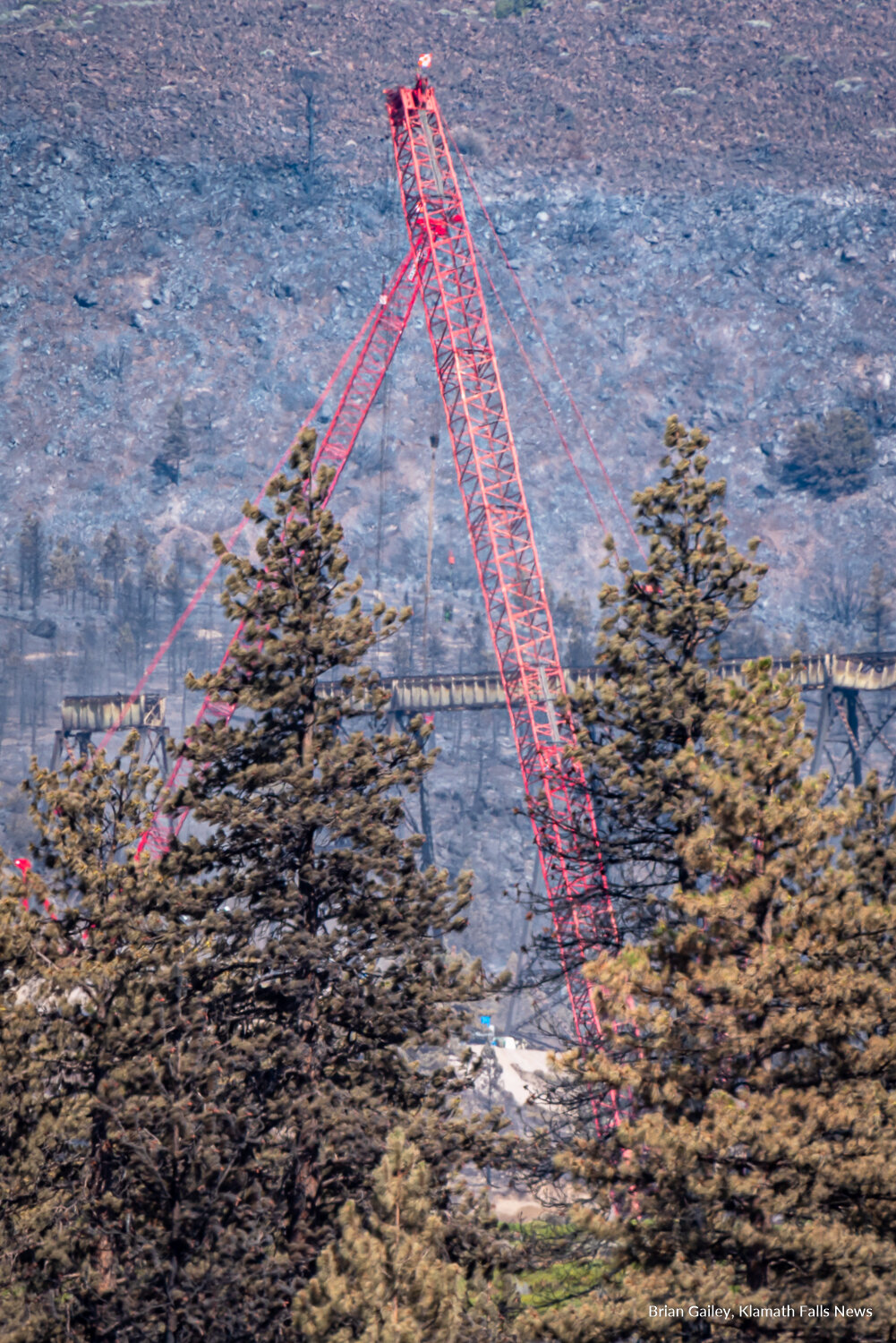 A red tower crane can bee seen through the burned trees of the Lava Fire in Siskiyou County, California. July 6, 2021. (Image: Brian Gailey, Klamath Falls News)