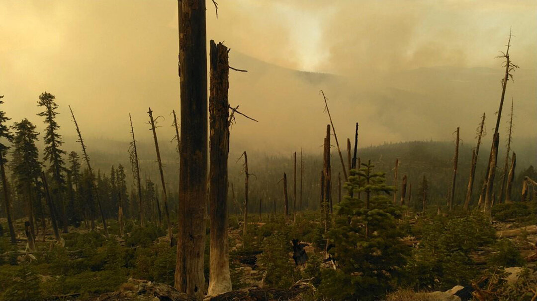 Morning smoke in Division D of the Antelope Fire (Image: Inciweb)