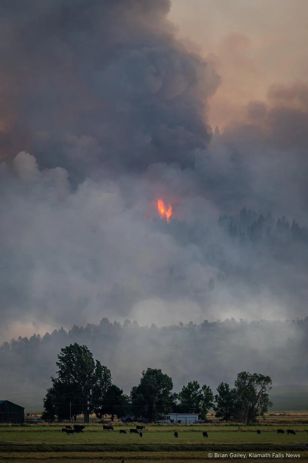 Van Meter Fire currently burning on Stukel Mountain