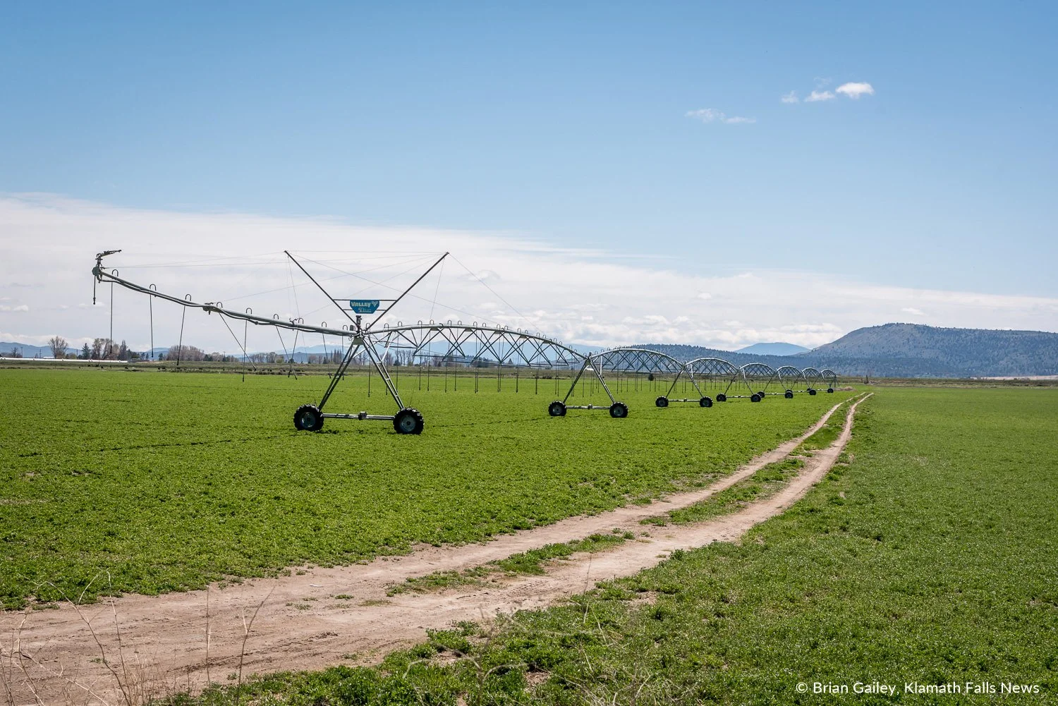 Project Irrigators "look forward to fair fight" on Upper Klamath Lake elevations and fish population