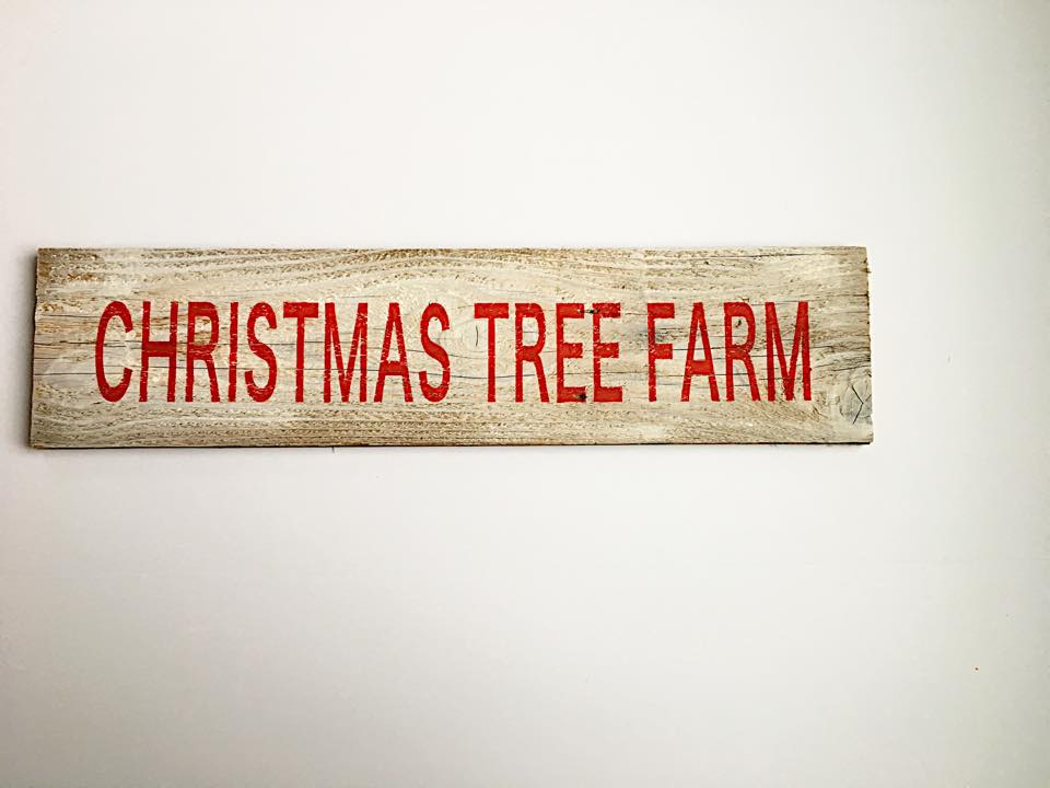 christmas tree farm.jpg