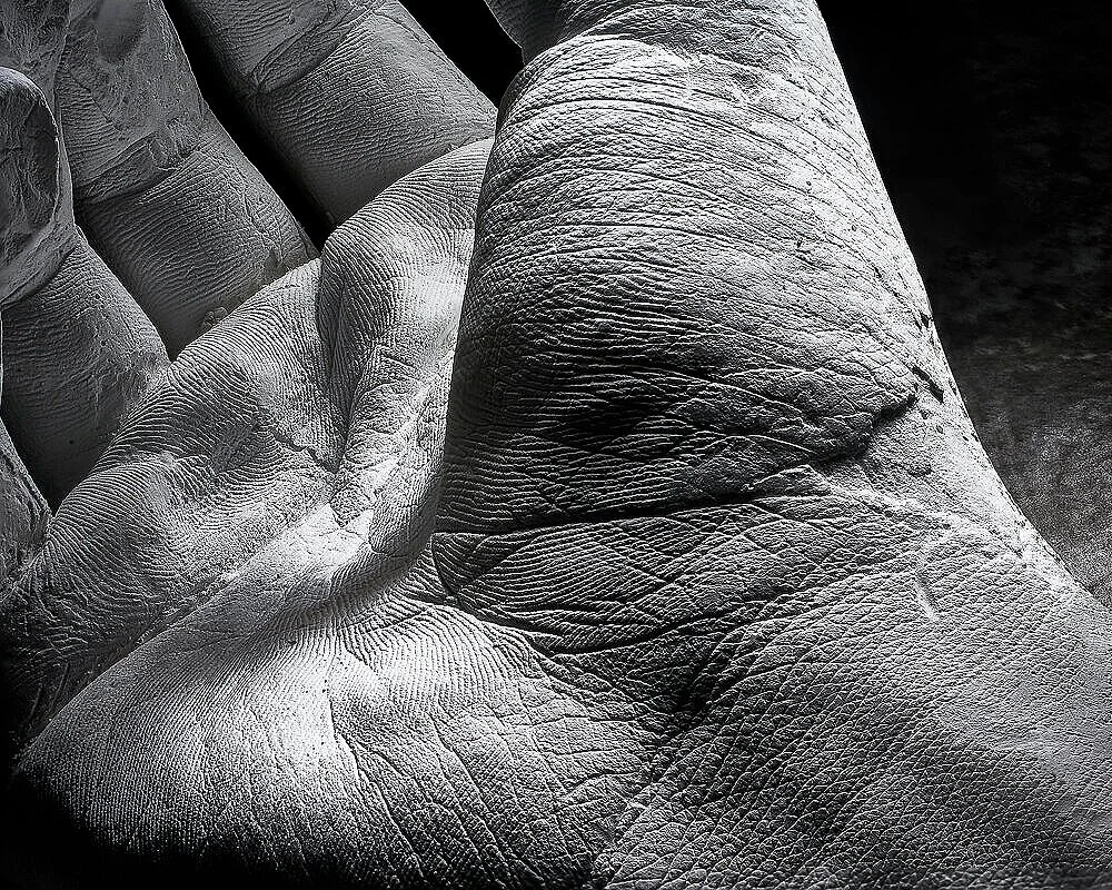 Gunner_PP_Hand_CloseUP3_2019_03.jpg