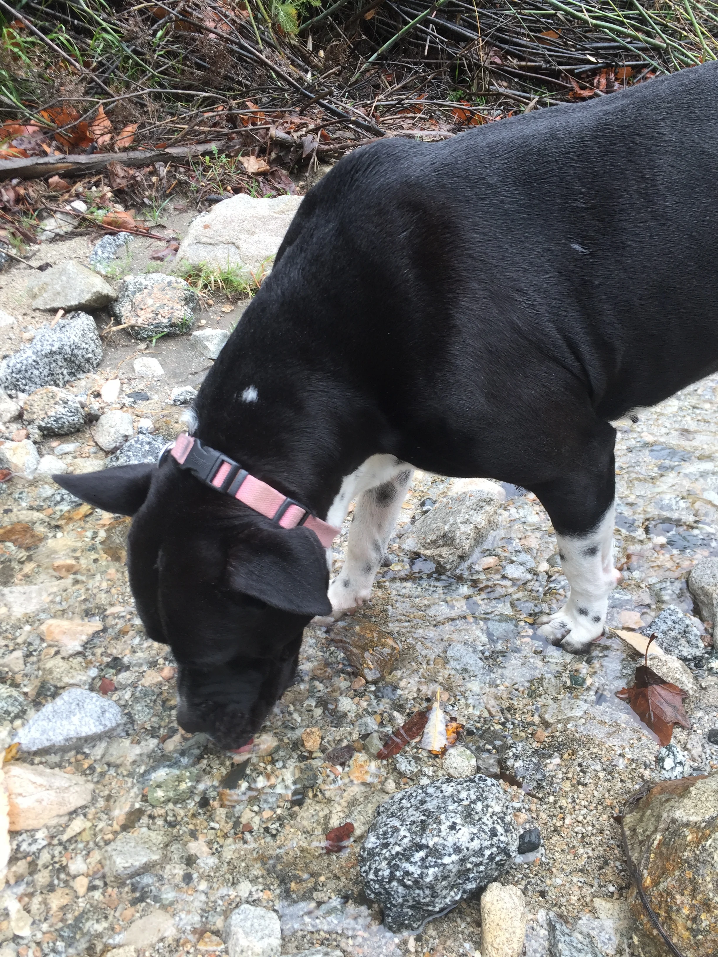 Raindrops Keep Falling on My Head