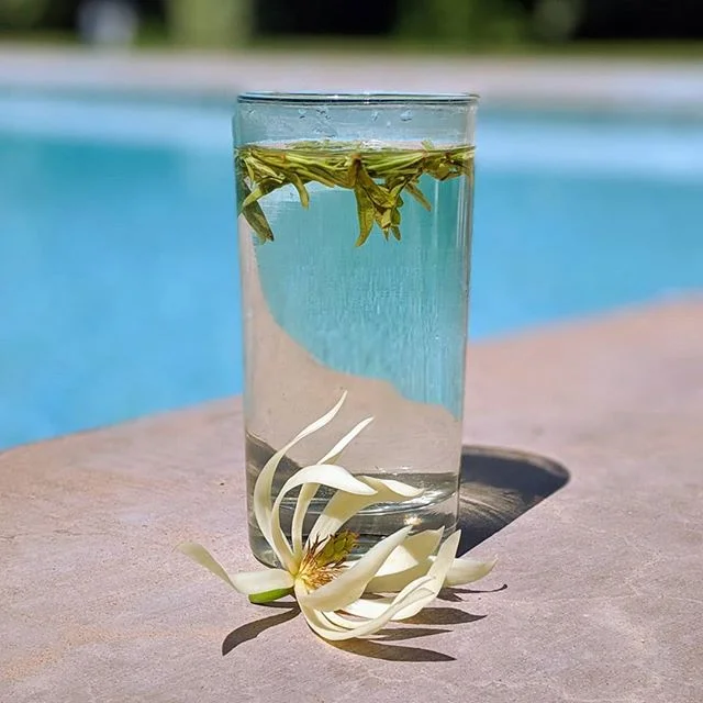 When what you want isn't on the poolside bar menu... Gotta BYOT (bring your own tea) #summer #poolside #tea #cha #teatime #green #thirstythursday #photooftheday #soak #greentea #drink #funinthesun