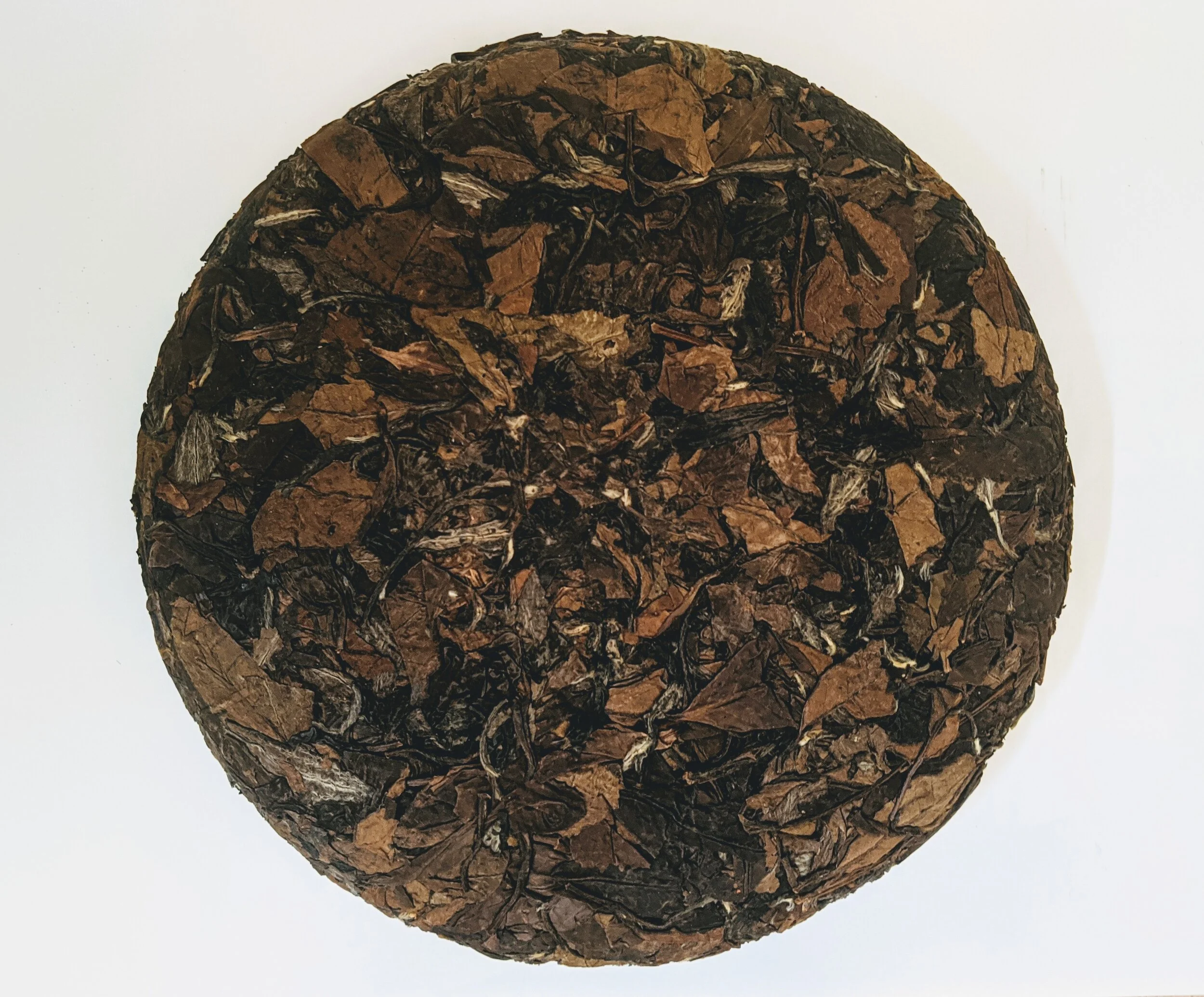 Aged White Tea, Special Press - Spring 2011