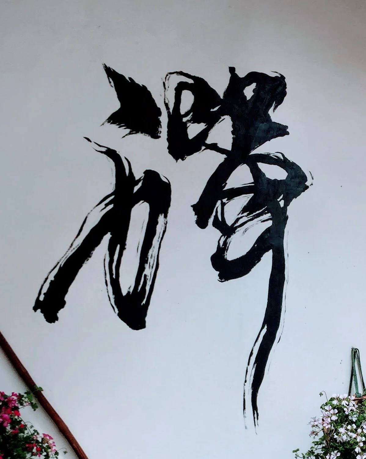 “Well, let’s see what happens.”