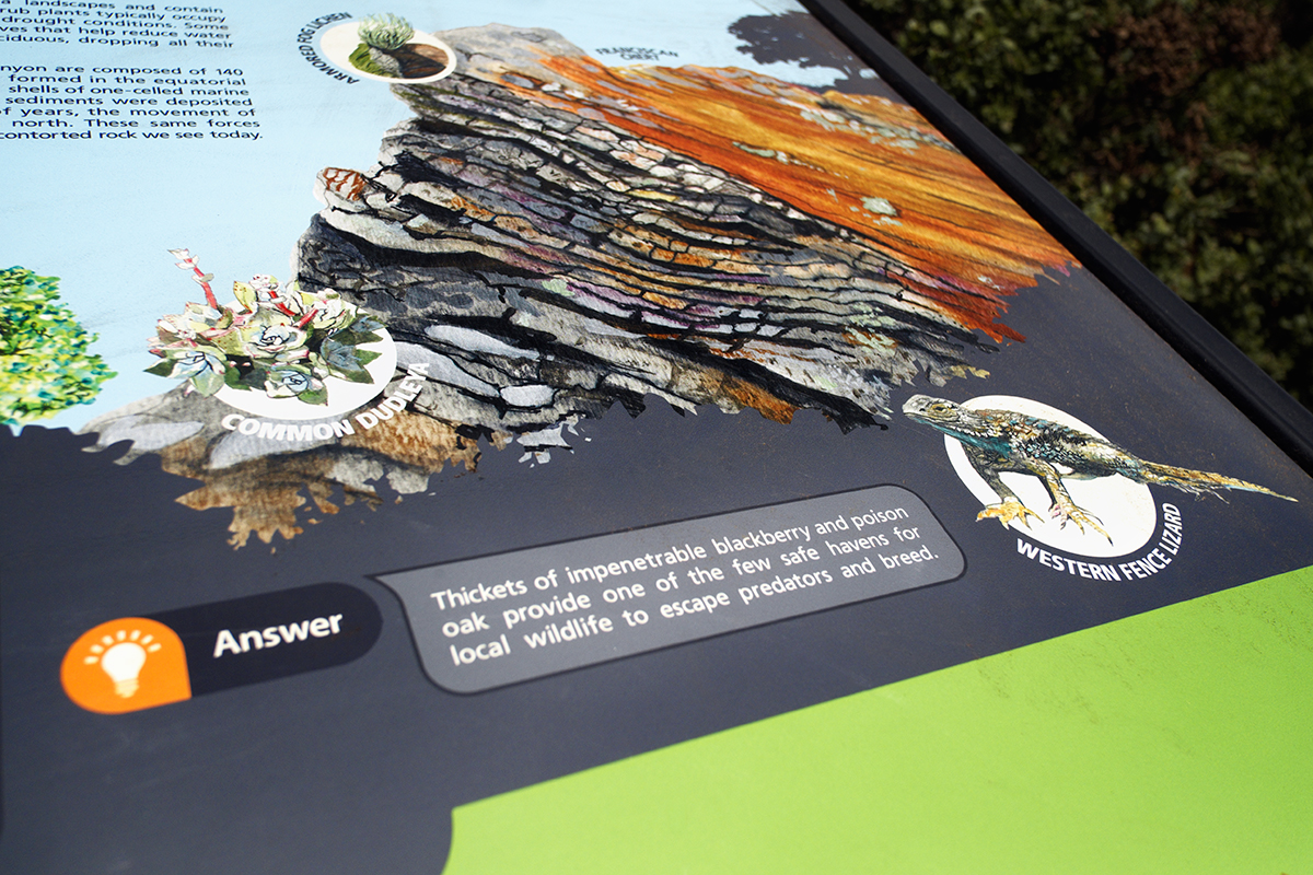 InkeDesign-SFRPD-Signage-Glen-Canyon-Park-Coastal-Scrub-Close-Up1.jpg
