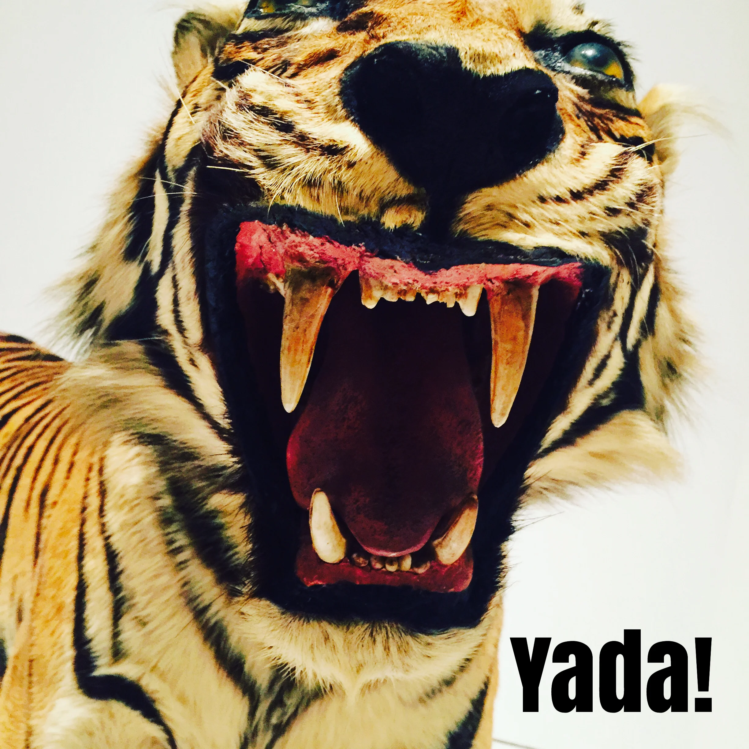 DARE TO BE DIFFERENT