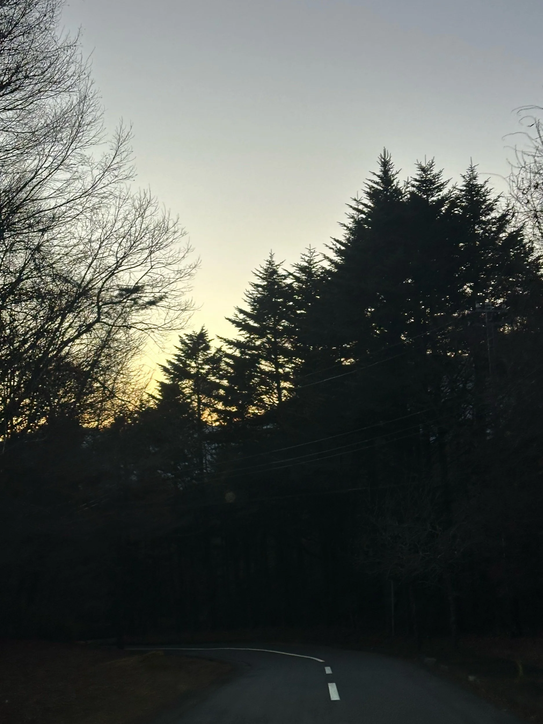 IMG_5543.jpeg