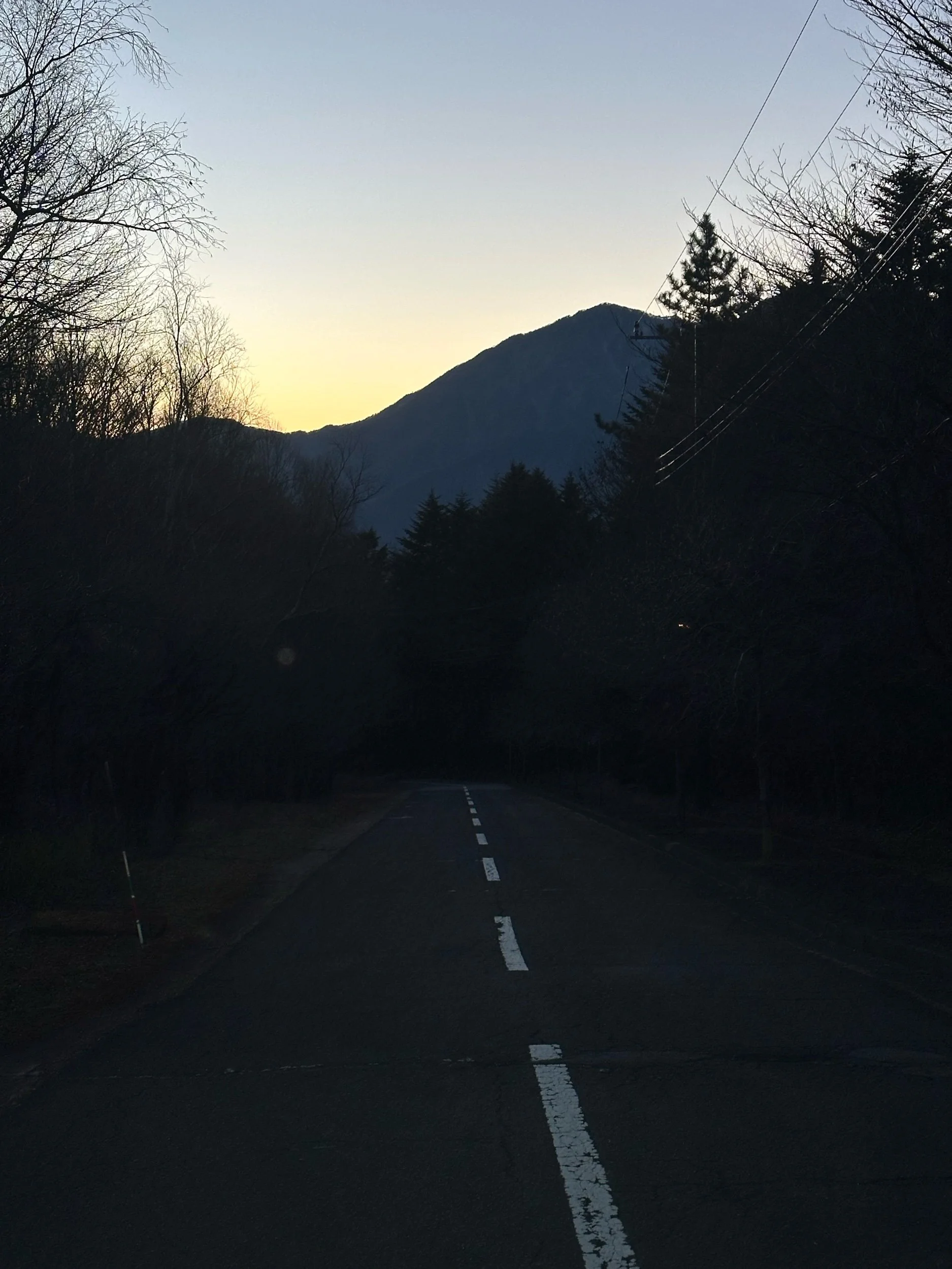 IMG_5541.jpeg