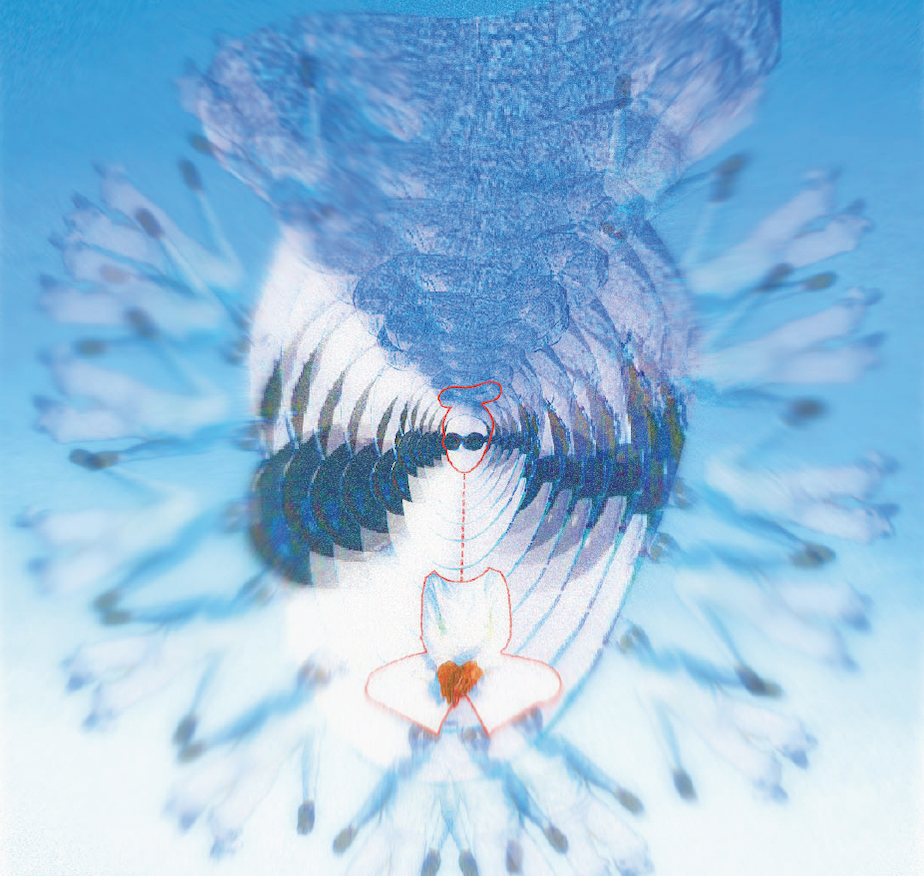 Screenshot 2024-02-14 at 15.16.17.png