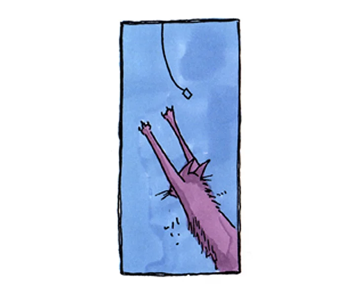 OwnAGun(Cat)1.jpg
