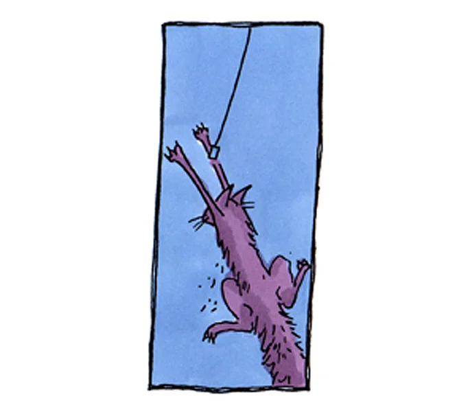 OwnAGun(Cat)5.jpg