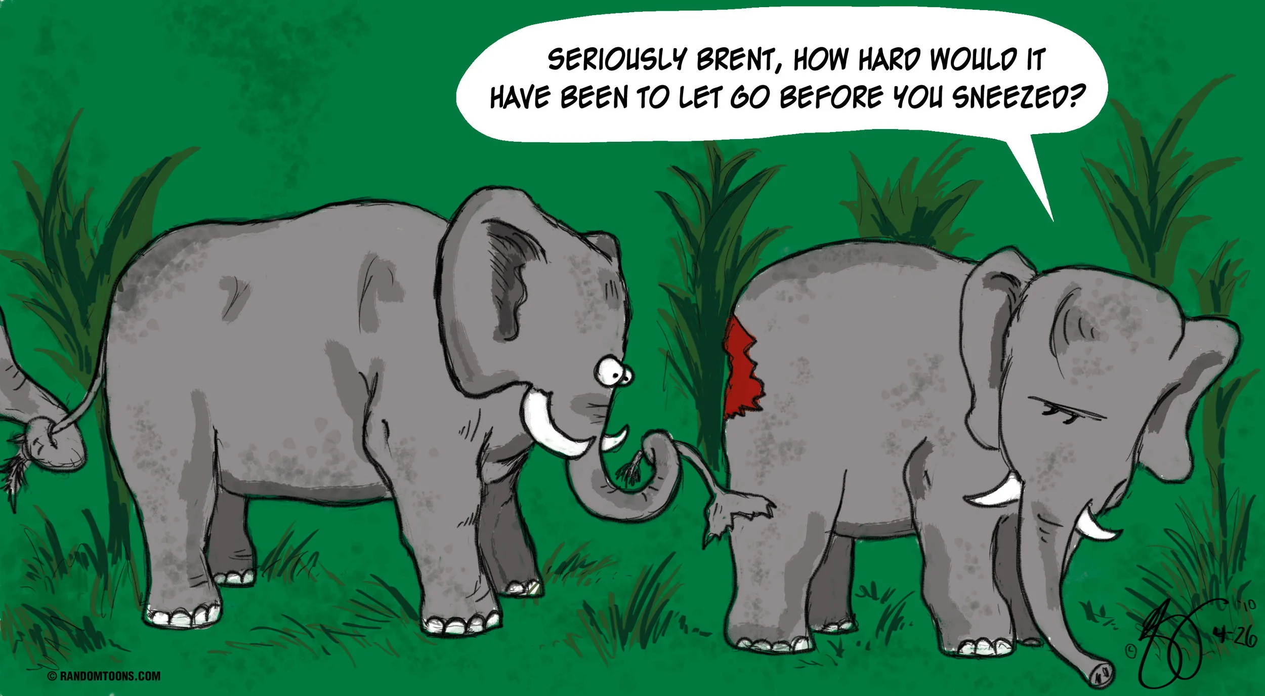 elephant.jpg