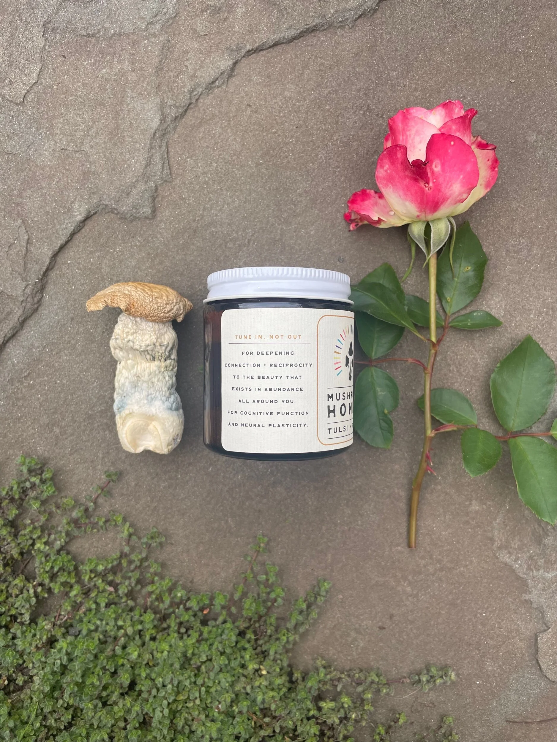 B3A93584-D456-4697-A0C0-96A52C17491A