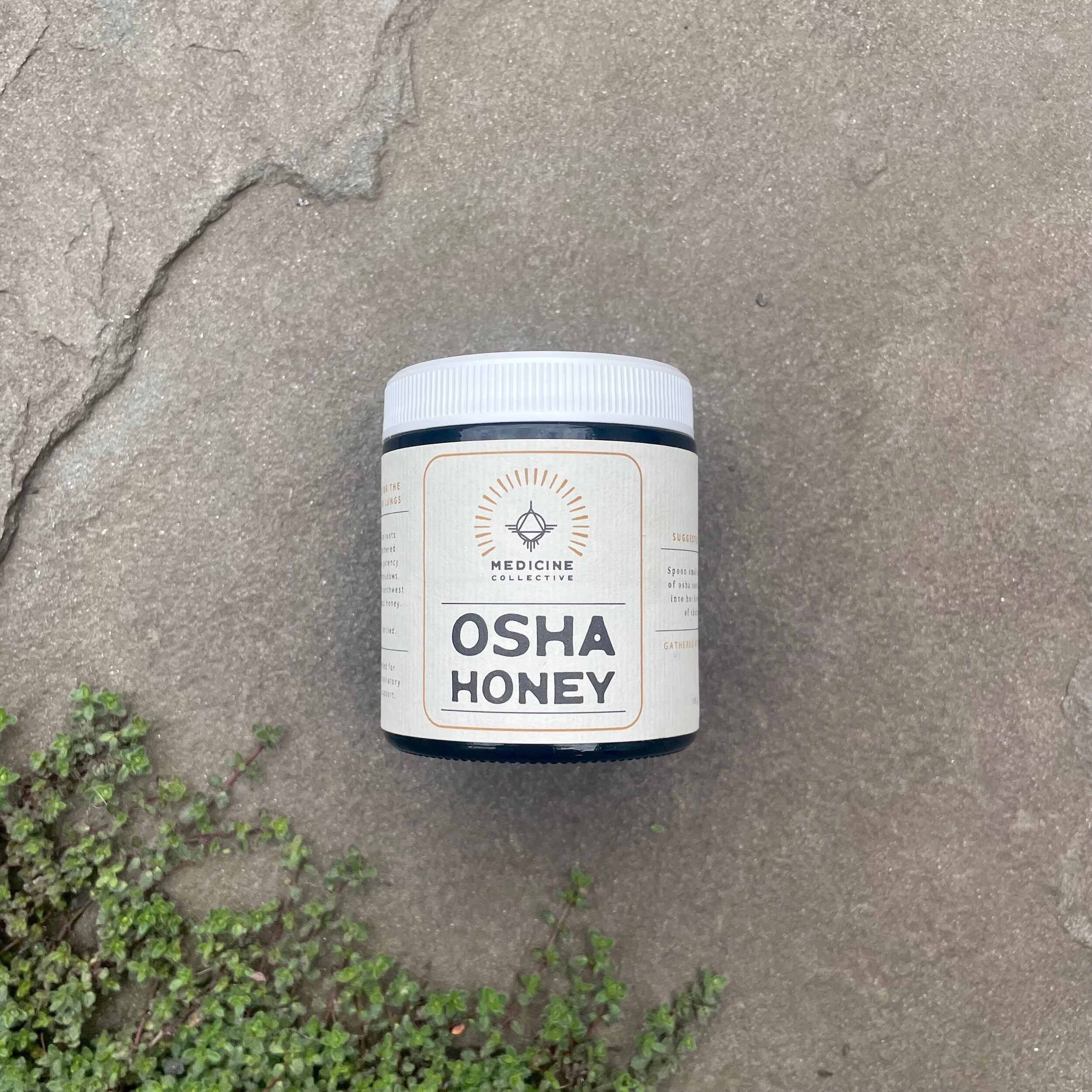 7344CD4D-B51C-433D-9EDD-79FE6E913E8E