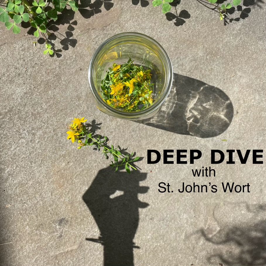 Deep Dive with St Johns Wort