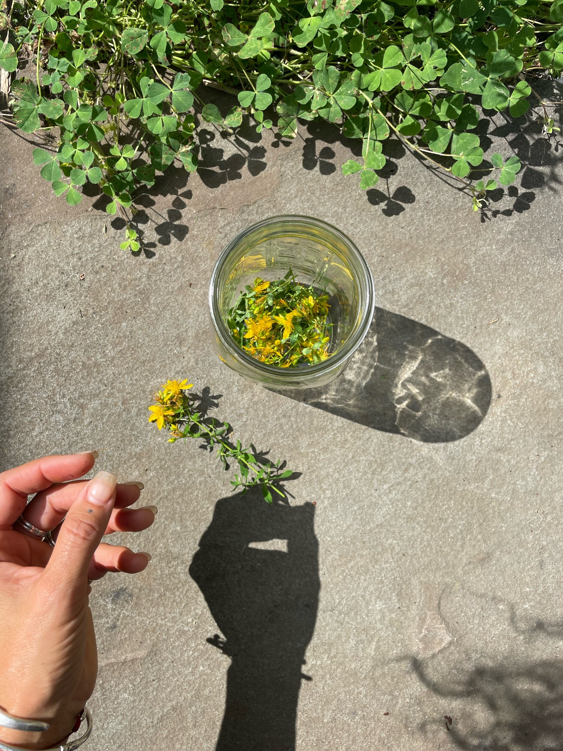 34139AFE-EA29-45BF-8627-93A8CD6FA592