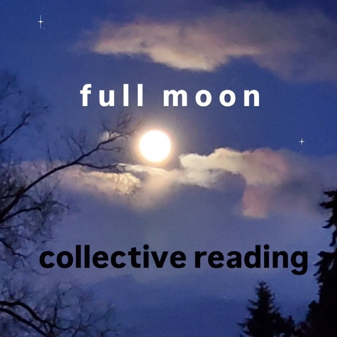 Full Moon Collective Reading 