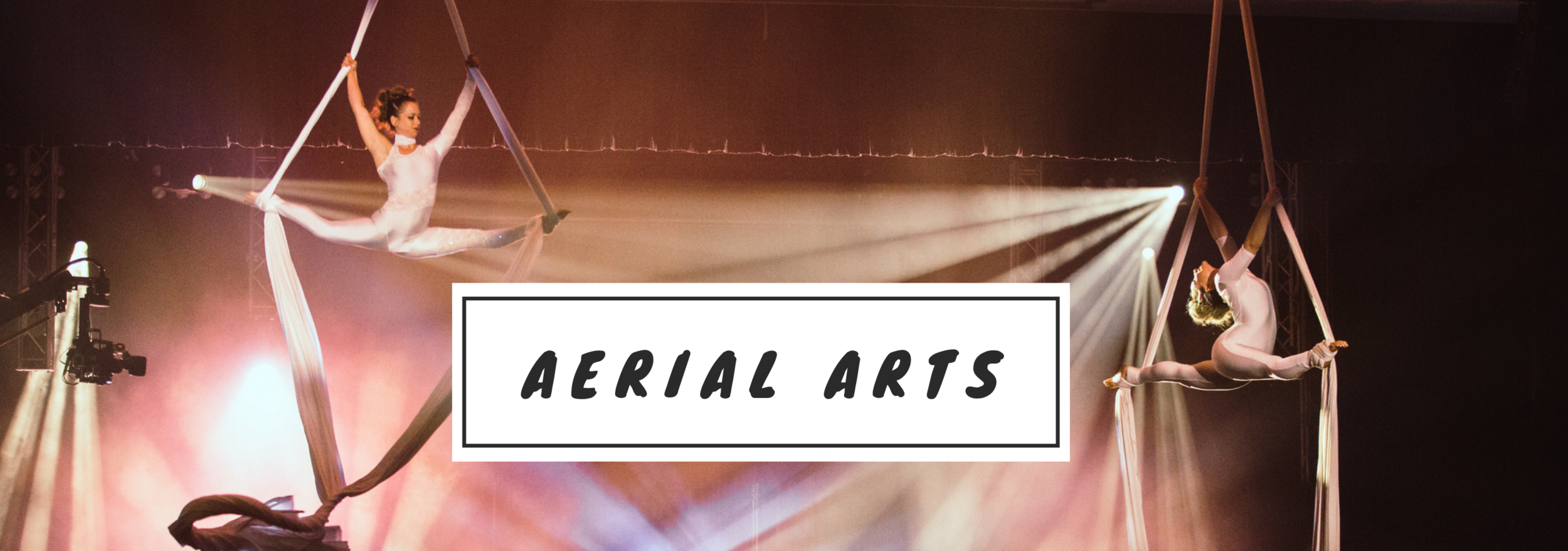 AERIAL ARTS.png