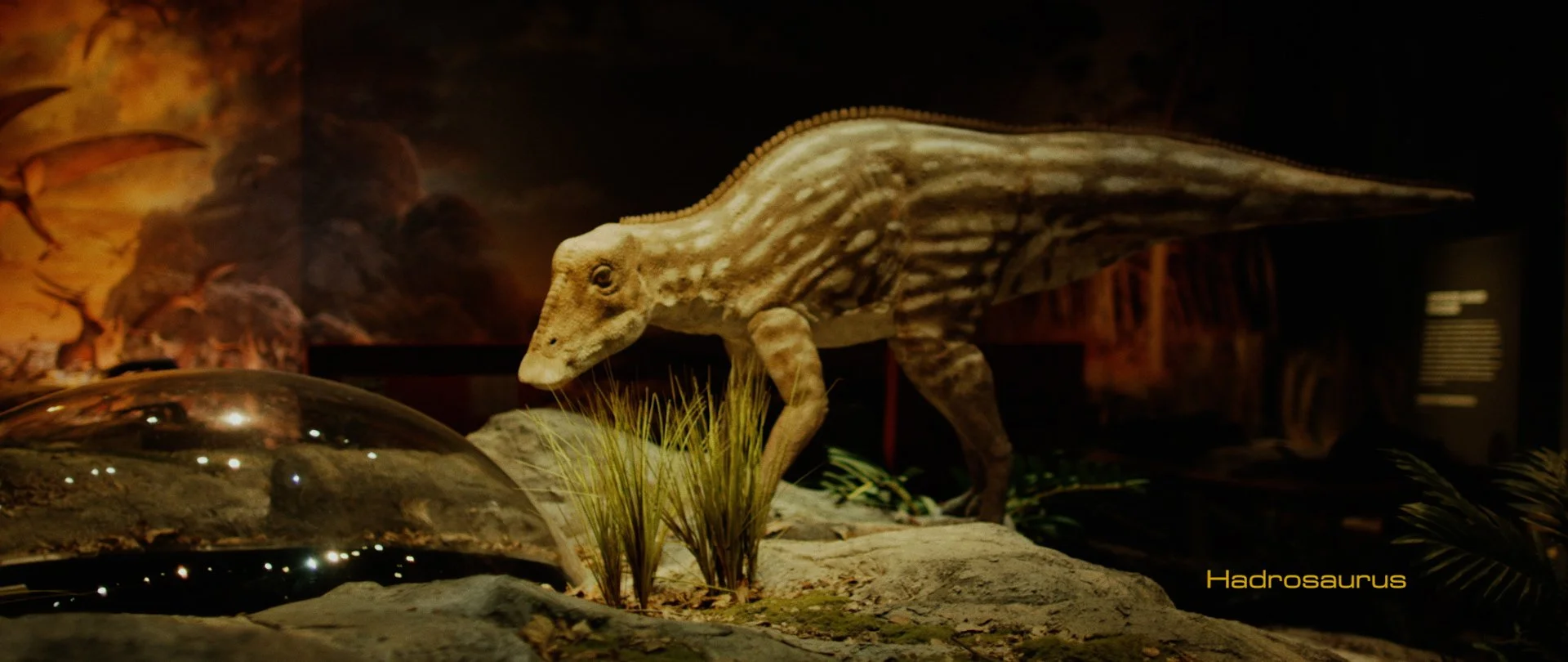 From Fossils to Flesh Trevor Hawkins Gary Staab Kenneth Lacovara Mammoth-63.jpg