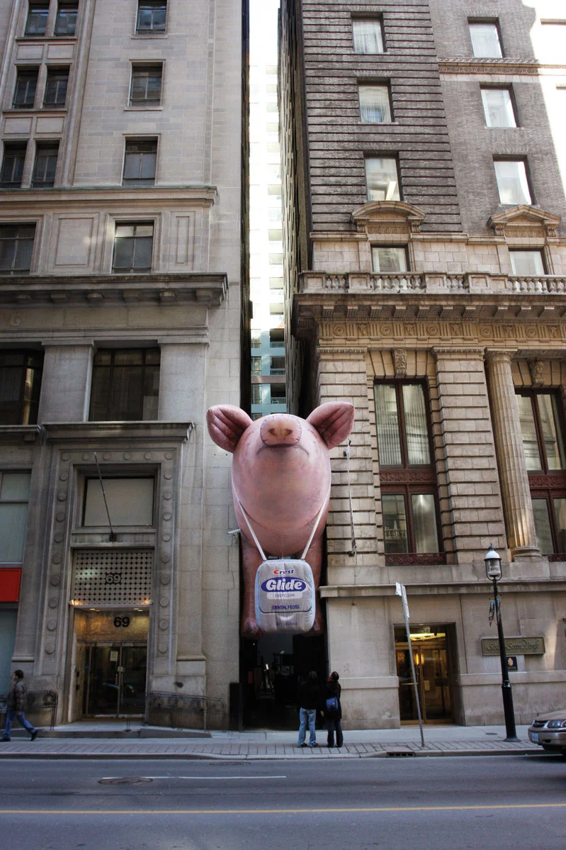 GLIDE_PORK_2.jpg