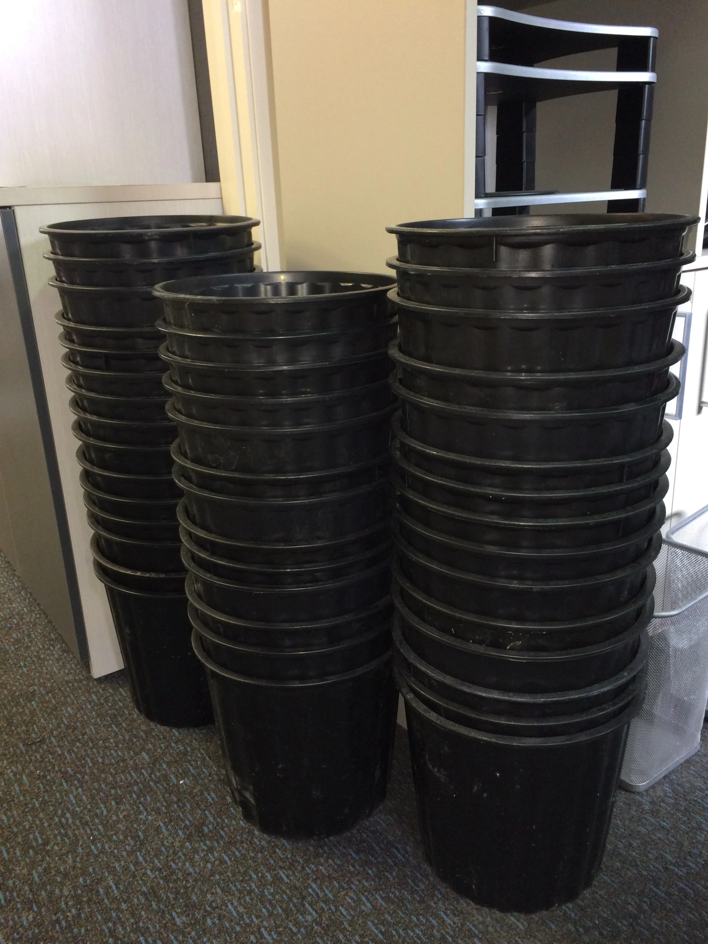 Waste Paper Bins - $10 +GST