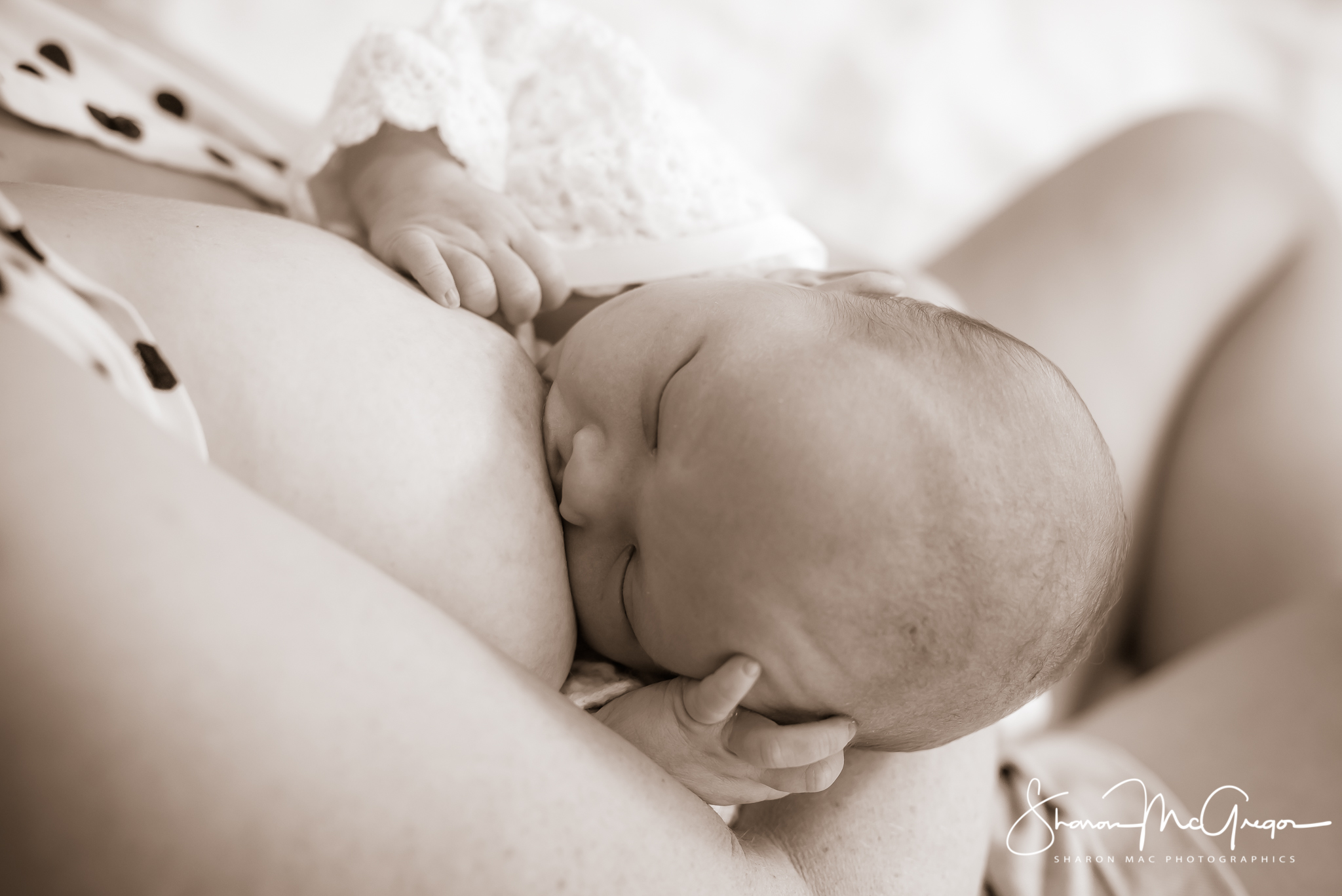 Darwin newborn photographer - Sharon Mac Photographics