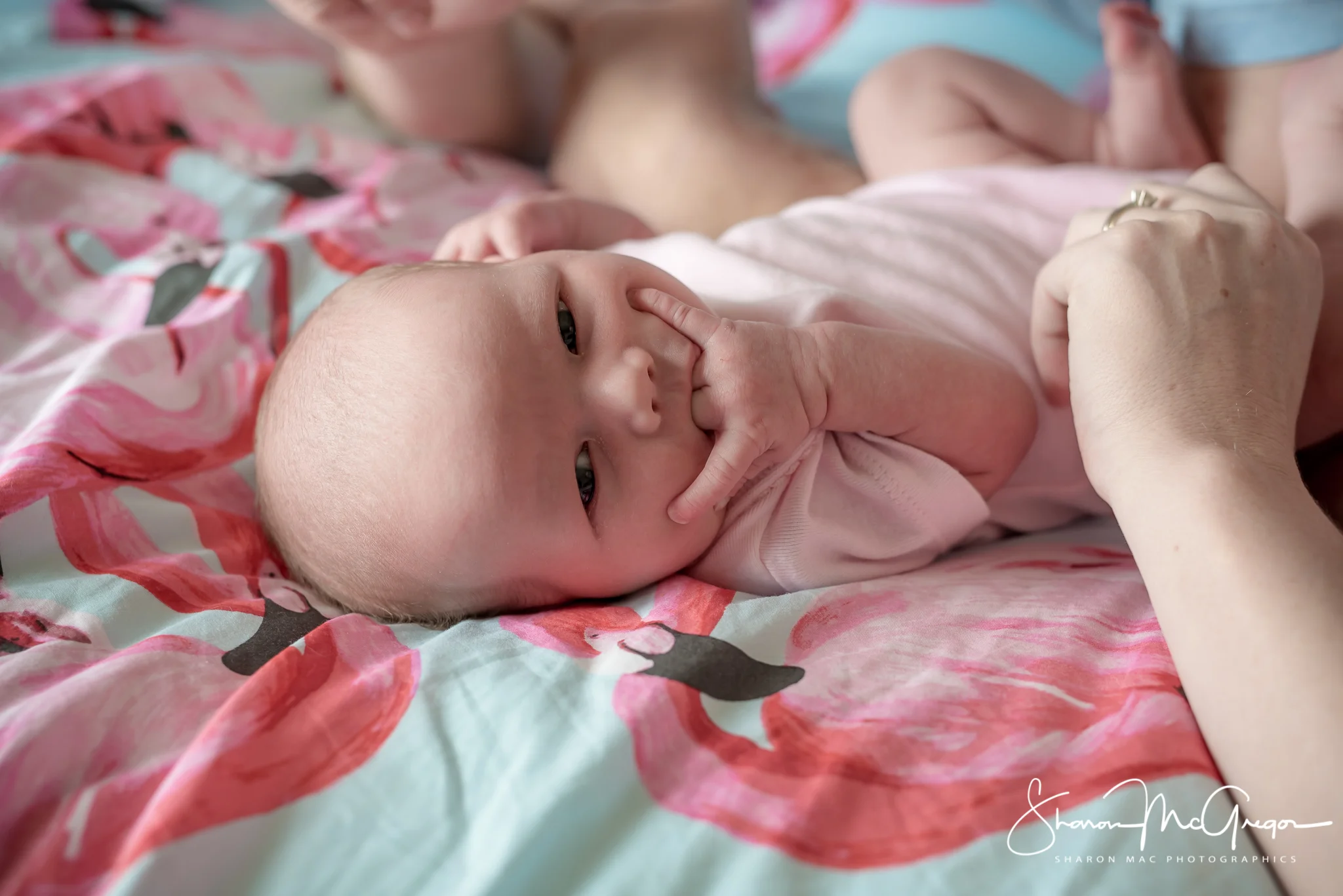 NB Portfolio web size-159.jpg