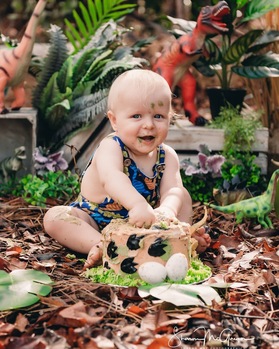 Yet another gorgeous bubba celebrating their first birthday today!  This time its the super cute Arthur with his outdoor dinosaur cake smash.Little Arthur got right into the cake smash component, absolutely smooshing his cake by A Sweet Endeavour. (h