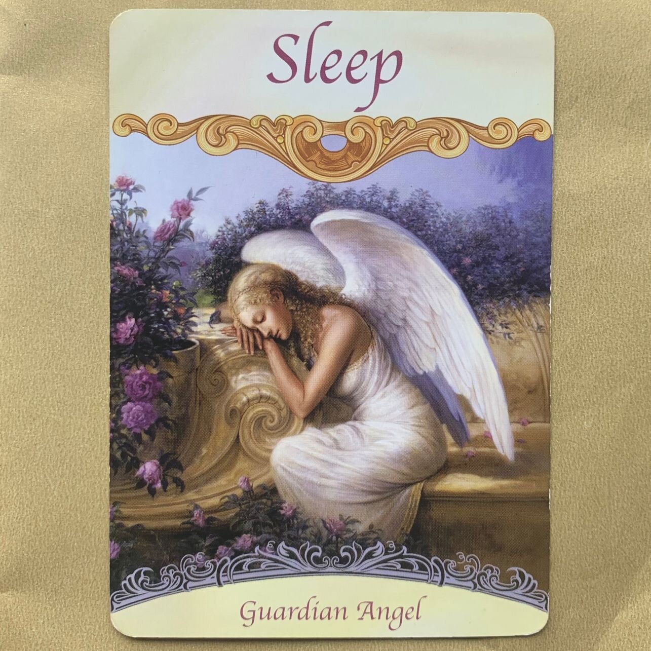 Oracle Card of the Day for WEDNESDAY September 7, 2022: Sleep 💤.

Okay, I think this might be my new favourite card! 
Adults are very bad at prioritising sleep, and this card reminds you that almost everything you are dealing with is easier to deal 