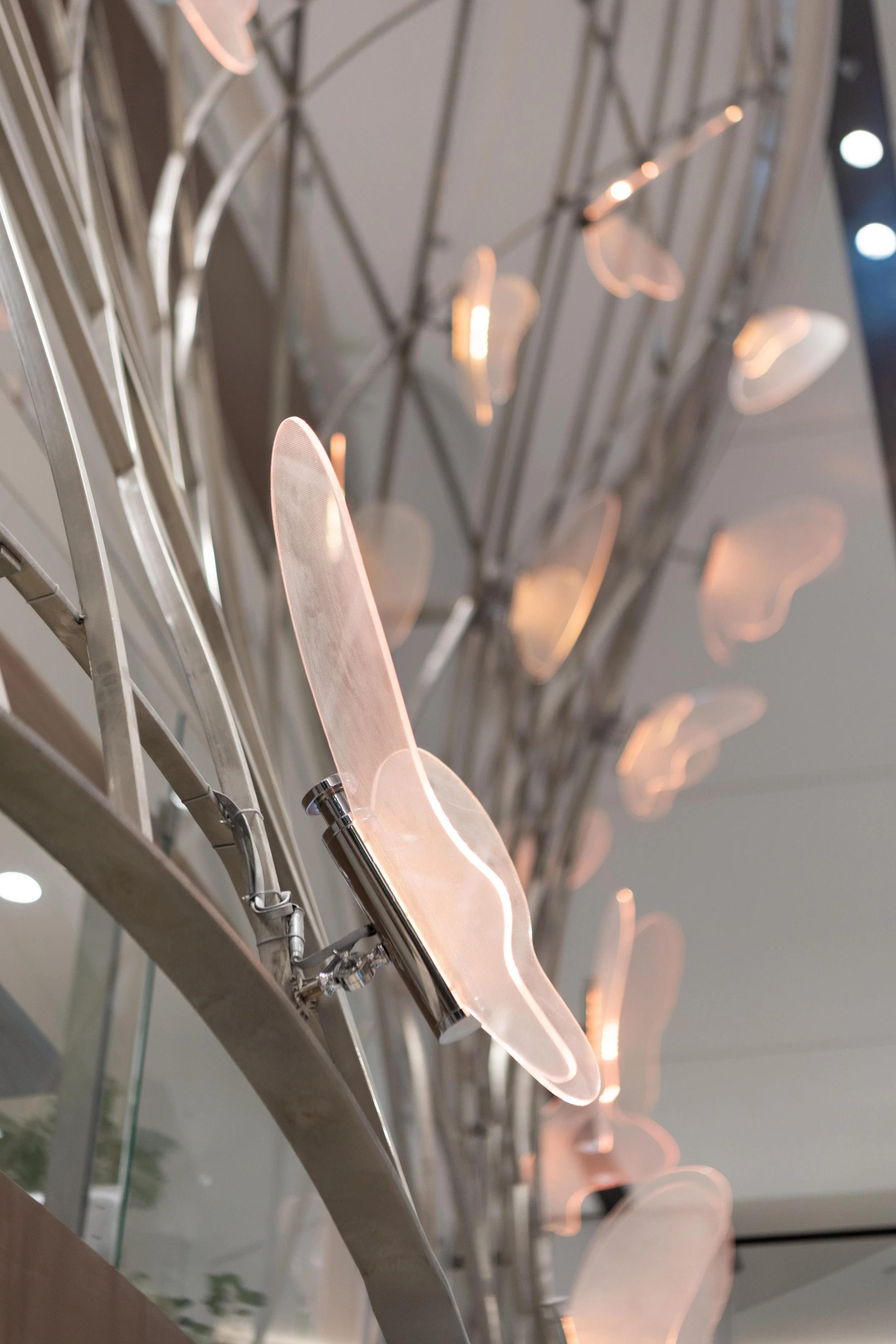 Weixin Image_20260303214240_59_10.jpg