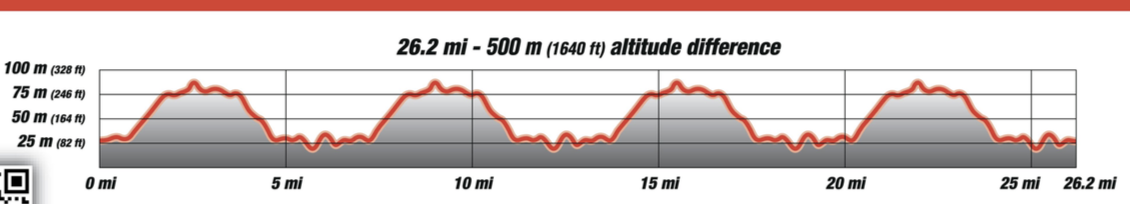 Er yes this is the elevation profile for the run, but at least you get to relax on the downhill four times and see your family cheering you on at the bottom each time...