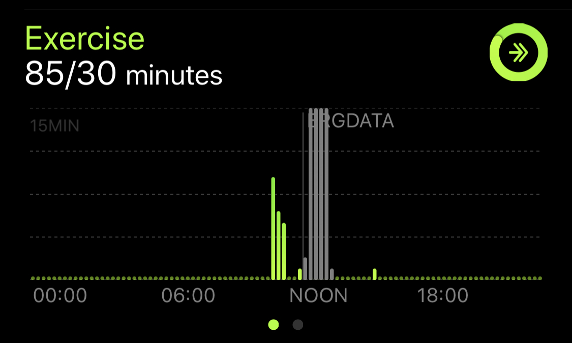 That’s ErgData - from the Concept2 rowing machine ErgData app, and the green lines are an outside walk from the Workout app..