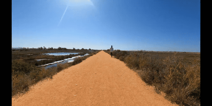 Holiday training, the first race for yonks and initial watchOS 8 thoughts