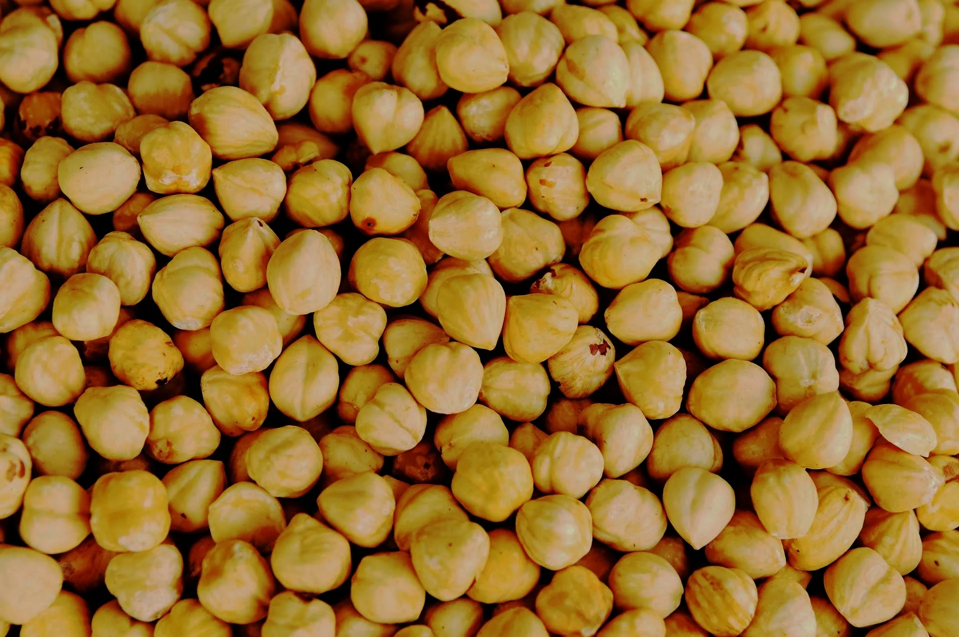 nocciole.jpg