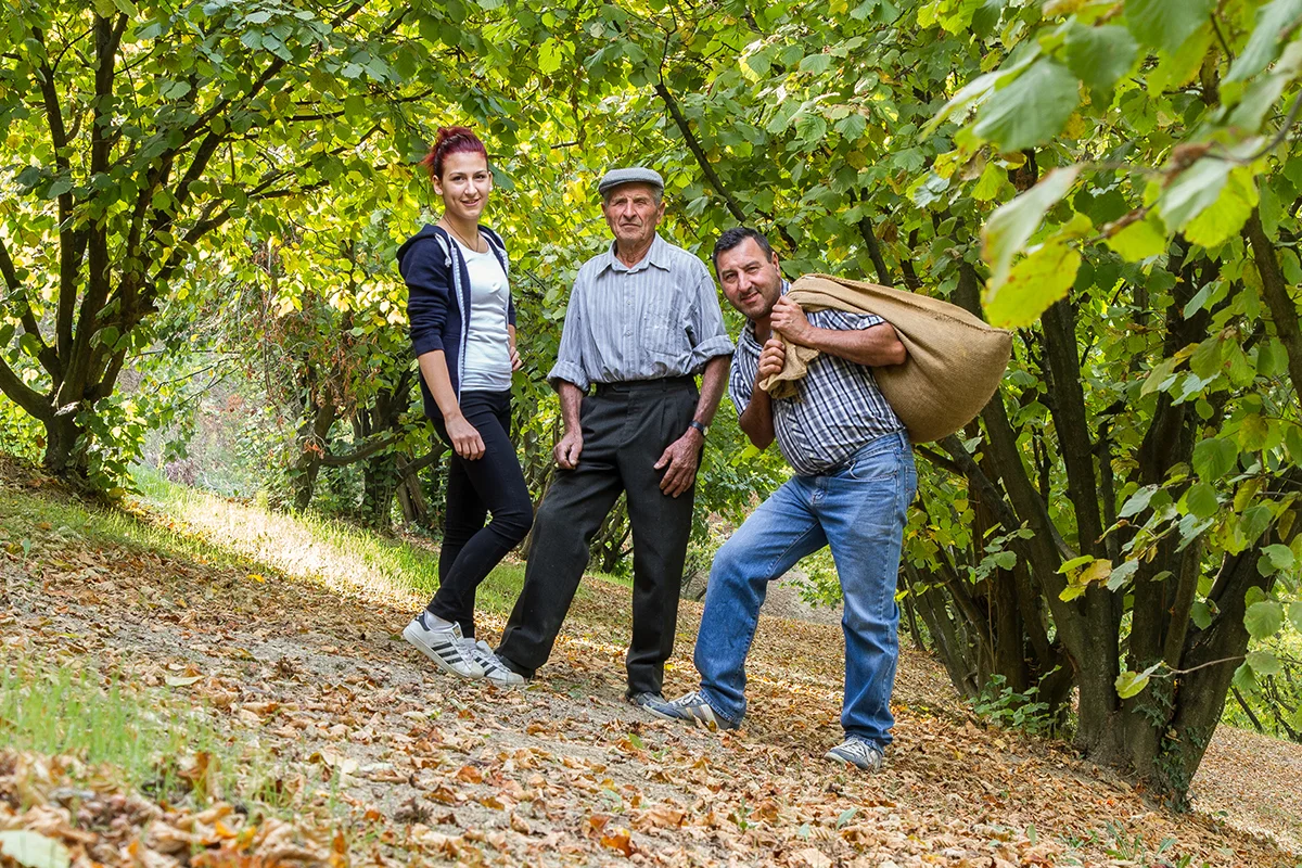 lavorazione e produzione nocciole piemonte igp tonda gentile prodotti nocciole agricola tarable roero bra cuneo.jpg