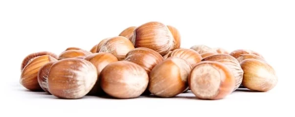 nocciole langhe La Tonda Gentile Trilobata o Nocciola Piemonte.jpg