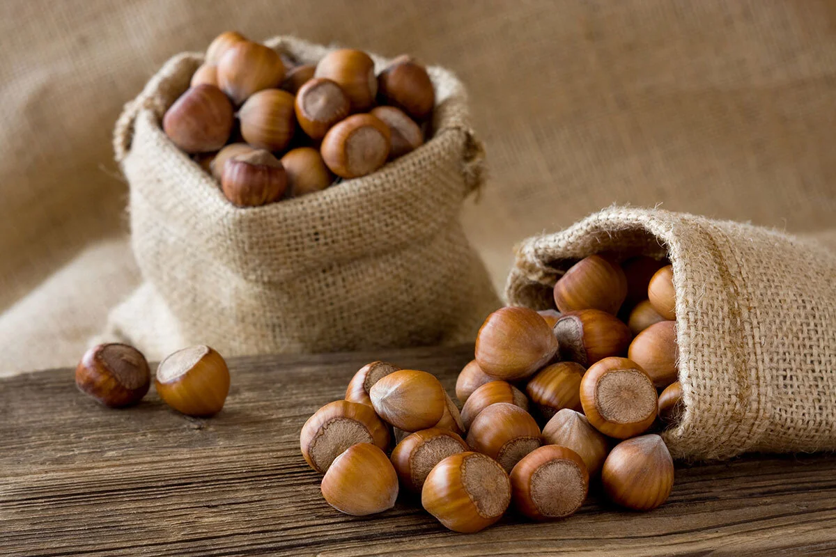 LA NOCCIOLA TONDA GENTILE PIEMONTE